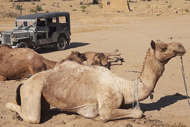 Off the beaten track overnight Camel Safari Tour Jaisalmer - What Makes This Tour Stand Out?