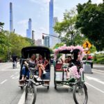 Official Pedicab Guided & Private Tours in Central Park - How the Tour Feels