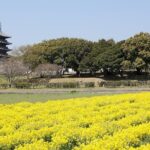 Okayama Private Customizable Full Day Tour - Practical Tips for Your Tour
