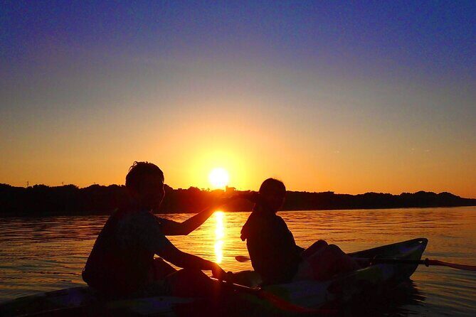 Okinawa Iriomote Sunrise SUP/Canoe Tour in Iriomote Island - Why This Tour Is a Great Choice
