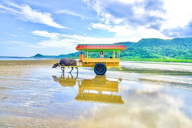 Okinawa Iriomote SUP or Canoe and Sightseeing in Yubujima island - Practical Details and What to Know