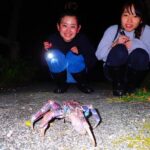 Okinawa Ishigaki Island Night Starry sky and Jungle night tour - What Travelers Are Saying