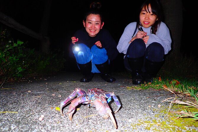 Okinawa Ishigaki Island Night Starry sky and Jungle night tour - What Travelers Are Saying