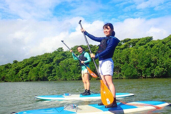Okinawa Ishigaki Mangrove SUP or Canoe Tour - Final Thoughts on the Okinawa Ishigaki Mangrove SUP or Canoe Tour