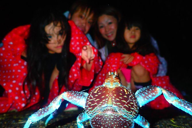 Okinawa Miyako Star gazing and subtropical jungle night tour - Value and Overall Impression