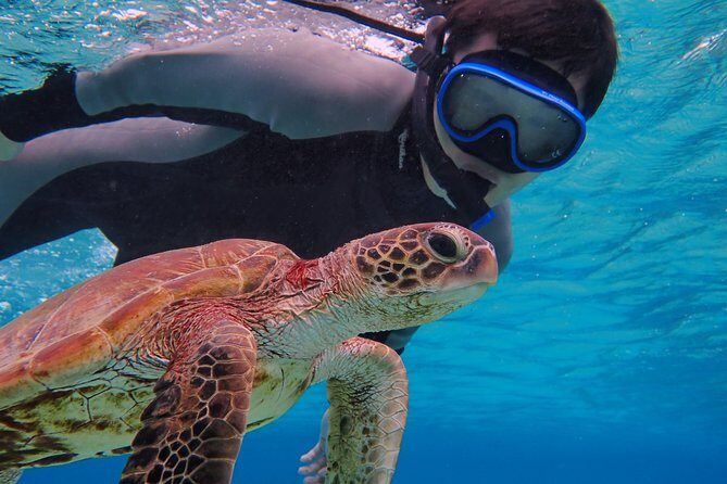 [Okinawa Miyako] SUP or Canoe + sea turtle Snorkeling(half-day) - Authentic Experiences Based on Reviews