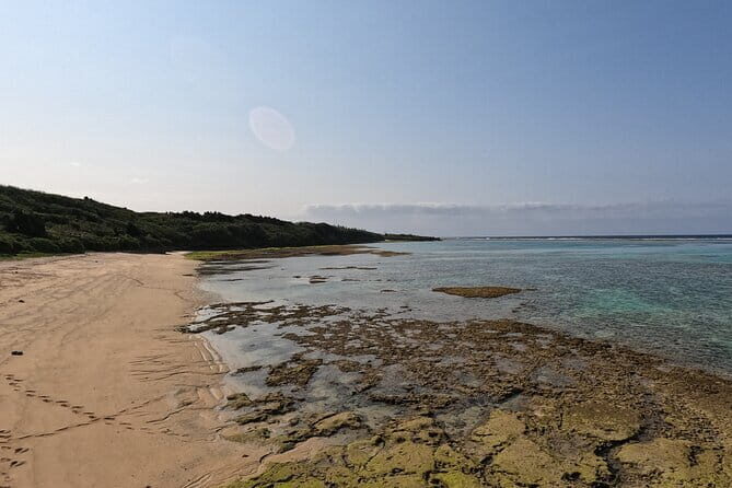Okinawa's Gorgeous Beach & Snorkel Tour: Private & Customised - Why This Tour Works Well