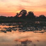 Old Siem Reap Sunset Food Tour by Tuk-tuk - What’s Included and Why It Matters