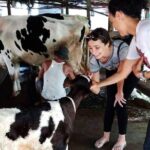 One day be Farmer and Master chef in Saigon - Who Would Find This Experience Most Valuable?