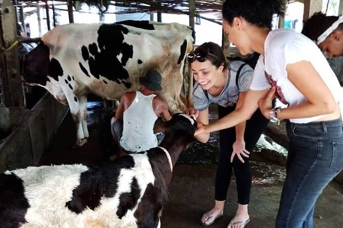 One day be Farmer and Master chef in Saigon - Who Would Find This Experience Most Valuable?