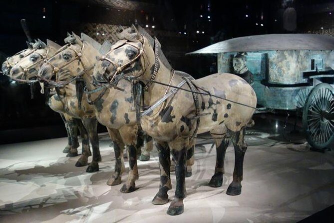 One Day Chengdu Xian Tour by Bullet Train - Authentic Insights from Real Travelers