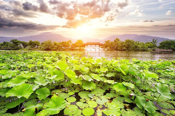 One-Day Hangzhou Dragon Well Tea Culture & West Lake Private Tour - Start at Meijiawu Tea Village: Tea Picking and Ceremony
