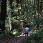 One Day Inthanon National Park (Private Tour) - Who Would Love This Tour?