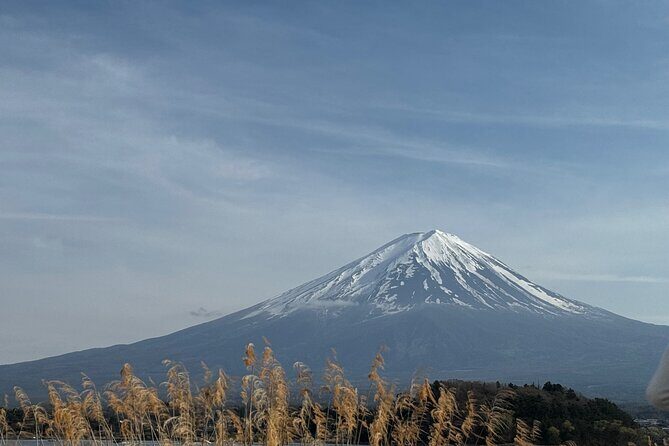 One day mountain Fuji & Hakone tour with English hindi bilingual - FAQs