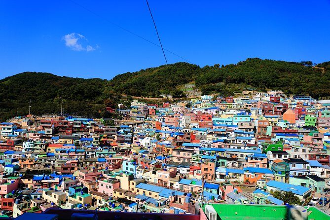 One Day Private Busan Tour with Local Tour Guide - Final Thoughts