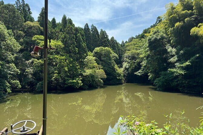 One Day Private Tour in Kyoto and Nara From Osaka - Pricing and Value