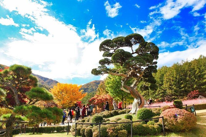 One Day Private Tour-Nami, Petite and Garden of Morning Calm - The Practicalities: What You Should Know