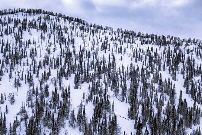 One Day Ski Tour Near Almaty - Who Should Consider This Tour?