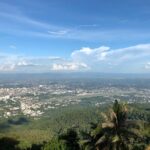 One Day Tour Doi Suthep Temple, Palad Temple, Orchid Farm, Longneck hill tribe village (Private tour) - Who Should Book This Tour?