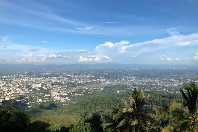 One Day Tour Doi Suthep Temple, Palad Temple, Orchid Farm, Longneck hill tribe village (Private tour) - Who Should Book This Tour?