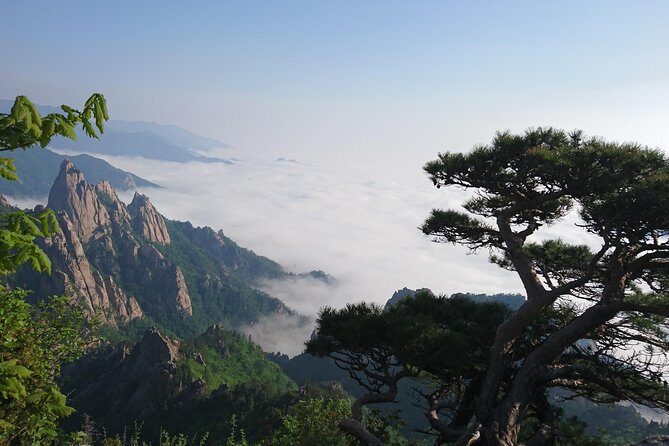 One-Day Tour for stunning Mt.Seoraksan from Seoul - Final Thoughts: Is This Tour Worth It?