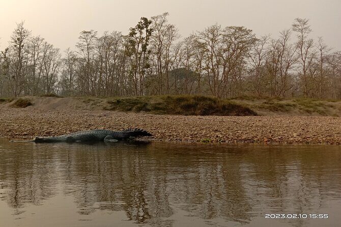 One Day Tour inside Chitwan National Park - Who Is This Tour Perfect For?