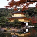One-Day Tour of Kyoto's Highlights from Osaka/Kyoto - In-Depth Look at the Itinerary