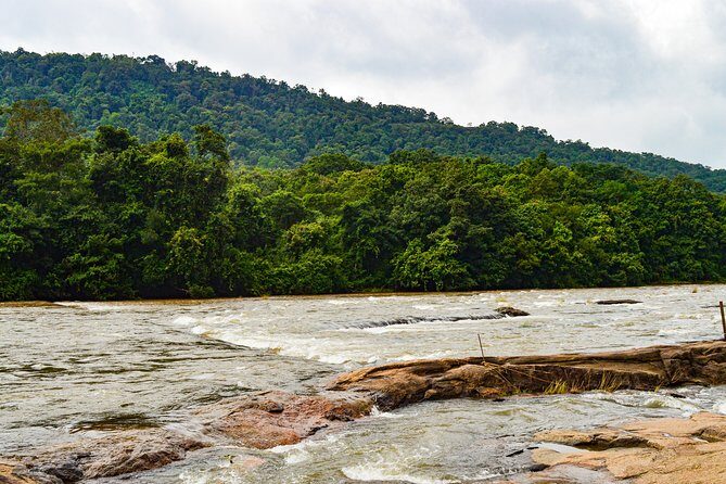 One day trip to Athirapally waterfall and Cherai beach to Kochi. - Charpa Waterfall: A Hidden Gem on the Way