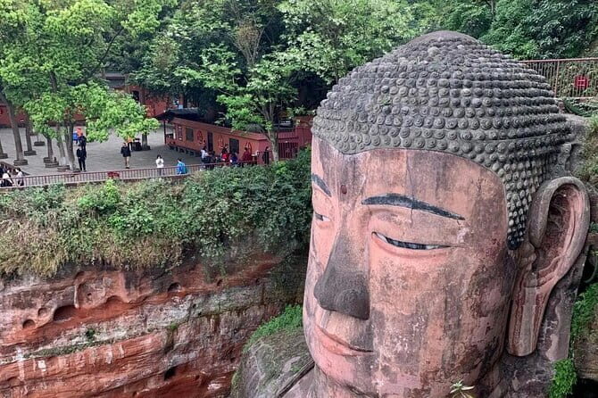 One Day Trip to Chengdu Panda Base and Leshan Buddha Tour - Who Will Love This Tour?