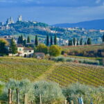 One Way Private Transfer: Florence to Rome with Visit to San Gimignano and Siena - The Value for Money