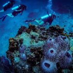 Open Water Course - Become certified diver in 3 days - Final Thoughts