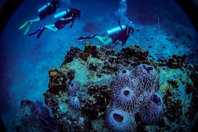 Open Water Course - Become certified diver in 3 days - Final Thoughts