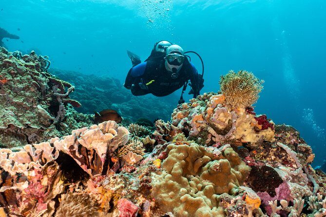 Open Water Course in Pemuteran - Get Certified in Bali - Who Will Love This Course?