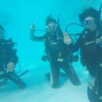Open Water Course (PADI) - The Reviews: Authentic Insights from Past Participants