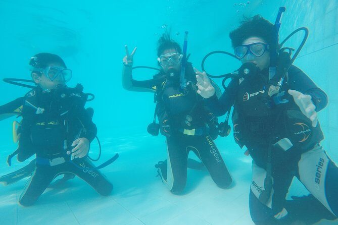 Open Water Course (PADI) - The Reviews: Authentic Insights from Past Participants