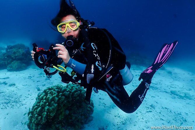 Open water scuba certifiication course with beach dives - Authentic Feedback from Prior Participants