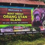 Orang Utan Island Day Tour - Considerations and Tips