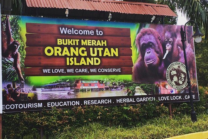 Orang Utan Island Day Tour - Considerations and Tips