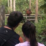 Orangutan Tanjung Puting Honeymoon CoupleTour - Who Would Love This Tour?