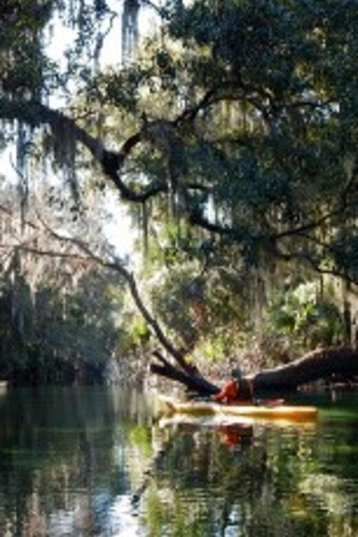 Orlando: Kayaking Tour with Manatee Encounter - The Sum Up