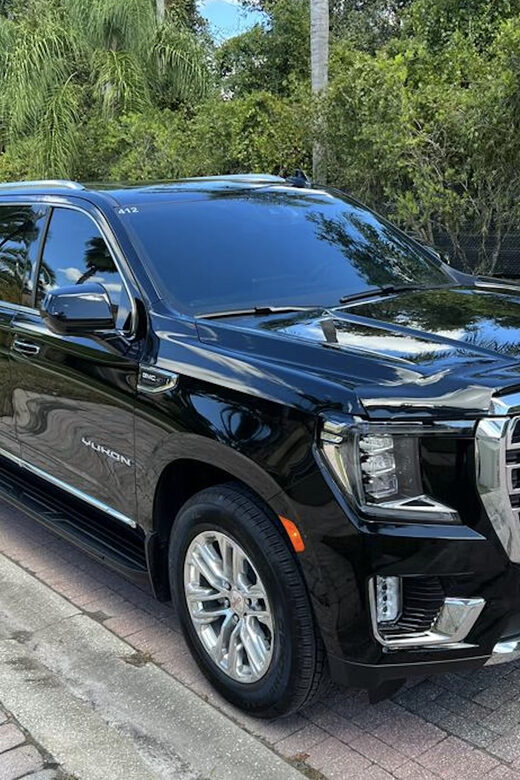 Orlando: MCO Airport - Port Canaveral Luxury Transfer - The Itinerary: From Airport to Port in Style