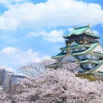 Osaka and Nara Attractive One Day private Tour - Who Will Love This Tour?