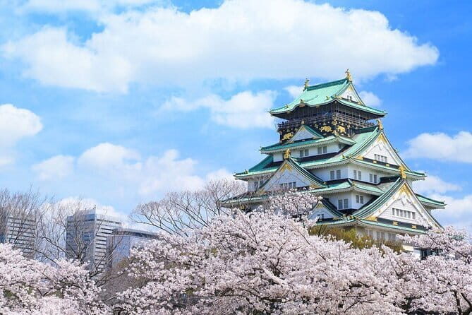 Osaka and Nara Attractive One Day private Tour - Who Will Love This Tour?