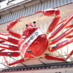 Osaka Early Bird Tour with English-Speaking Guide - Who Will Love This Tour?
