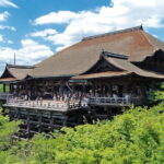 Osaka & Kyoto & Nara Top Hightlights English Speaking Tour - Value for Money and Overall Impression