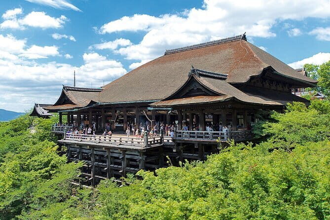 Osaka & Kyoto & Nara Top Hightlights English Speaking Tour - Value for Money and Overall Impression