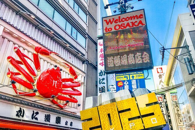 Osaka Private Day Trip - Enjoy Your First-Time Visit to Osaka! - Who Would Love This Tour?