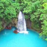 Oslob Whale Shark and Kawasan Falls Day Tour - The Sum Up