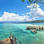 Oslob Whale Shark & Tumalog Waterfalls & Sumilon Sandbar - Who Should Consider This Tour?