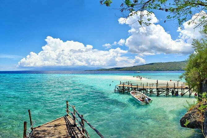 Oslob Whale Shark & Tumalog Waterfalls & Sumilon Sandbar - Who Should Consider This Tour?